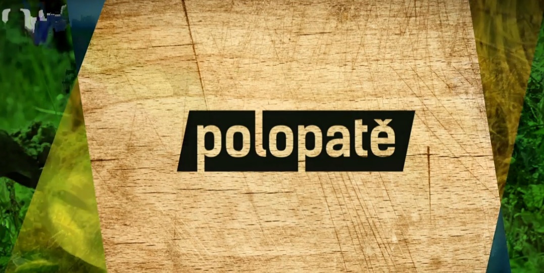 Polopatě